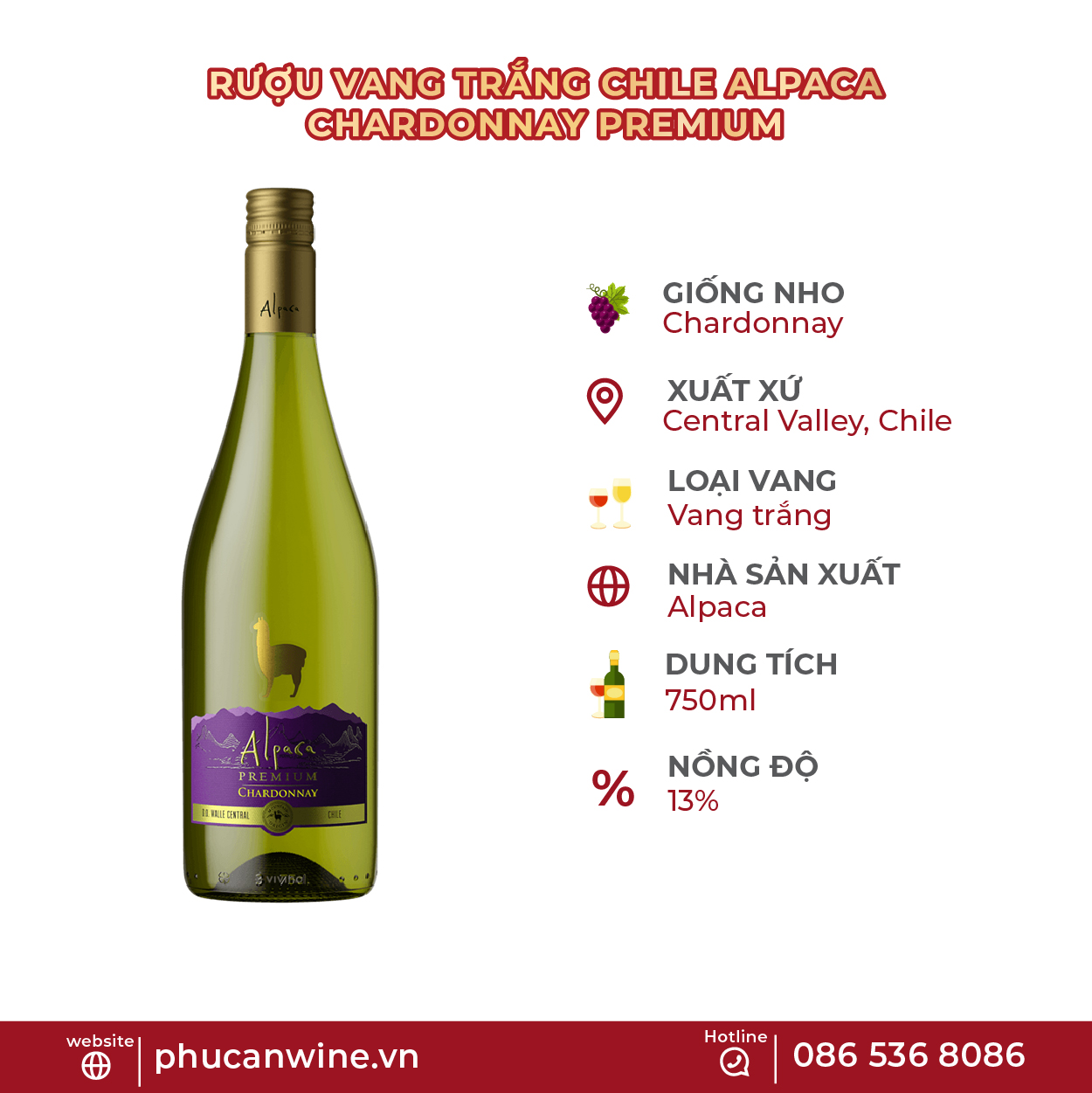 Rượu vang trắng Chile Alpaca Chardonnay Premium