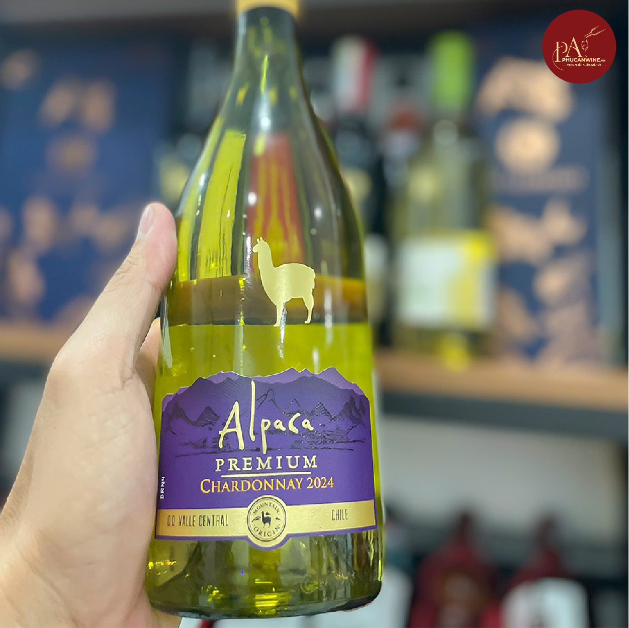 Rượu vang trắng Chile Alpaca Chardonnay Premium