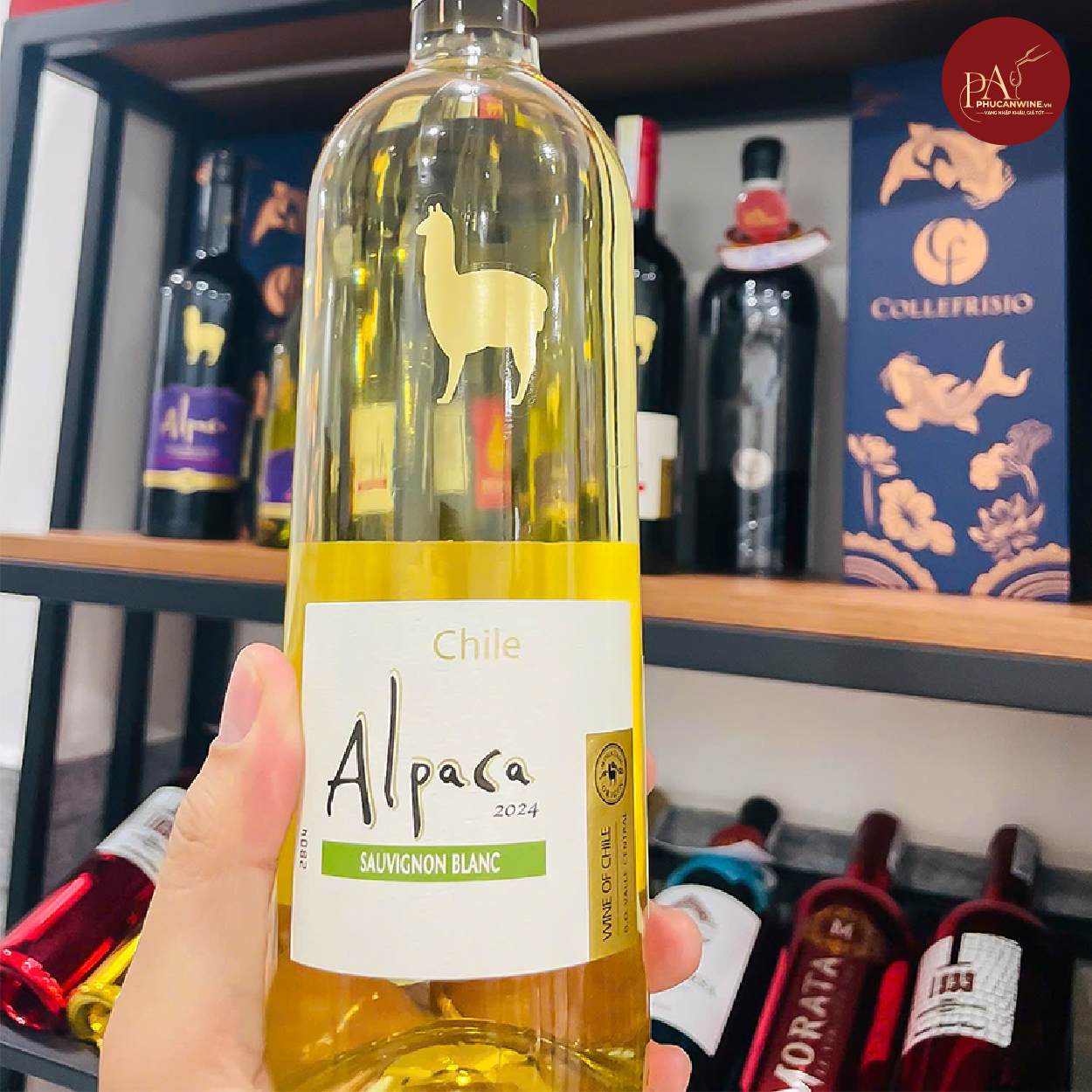 Rượu vang trắng Chile Alpaca Sauvignon Blanc