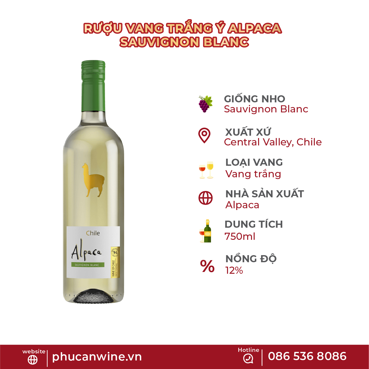 Rượu vang trắng Chile Alpaca Sauvignon Blanc