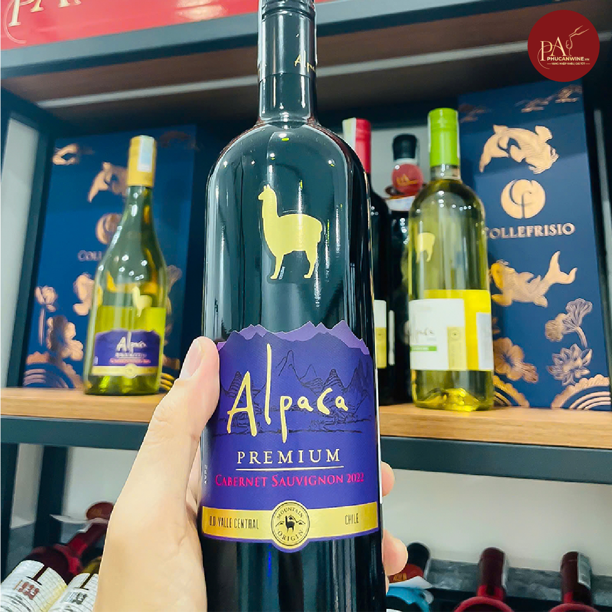 Vang đỏ Chile Alcapa Cabernet Sauvignon Premium