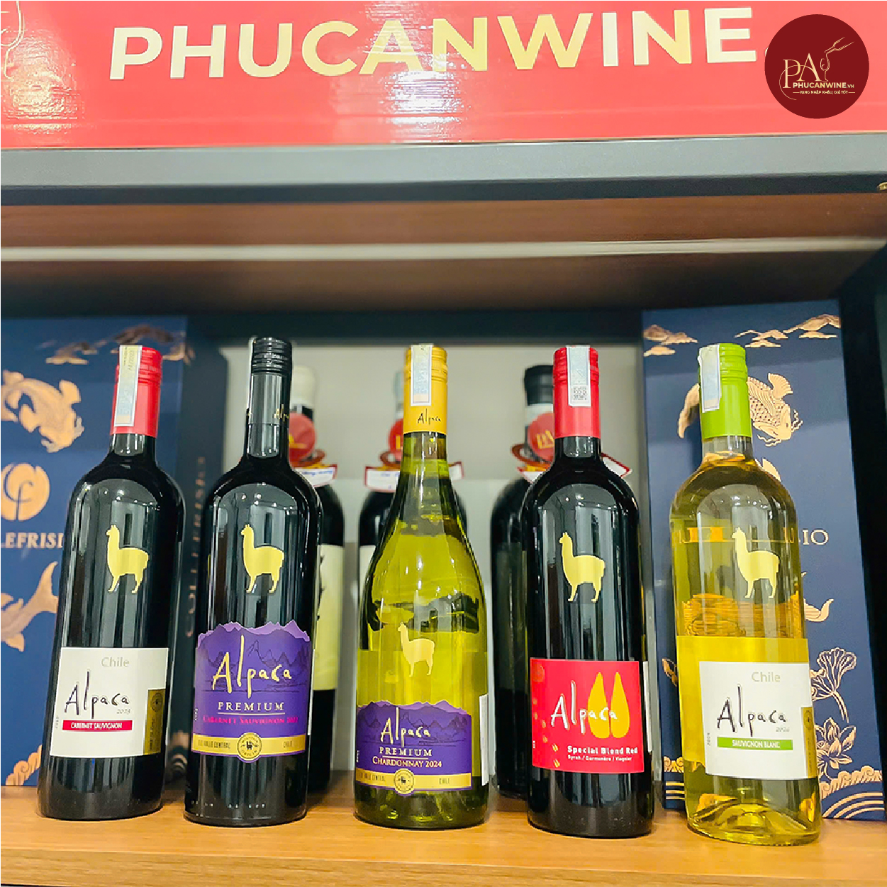 Vang đỏ Chile Alcapa Cabernet Sauvignon Premium
