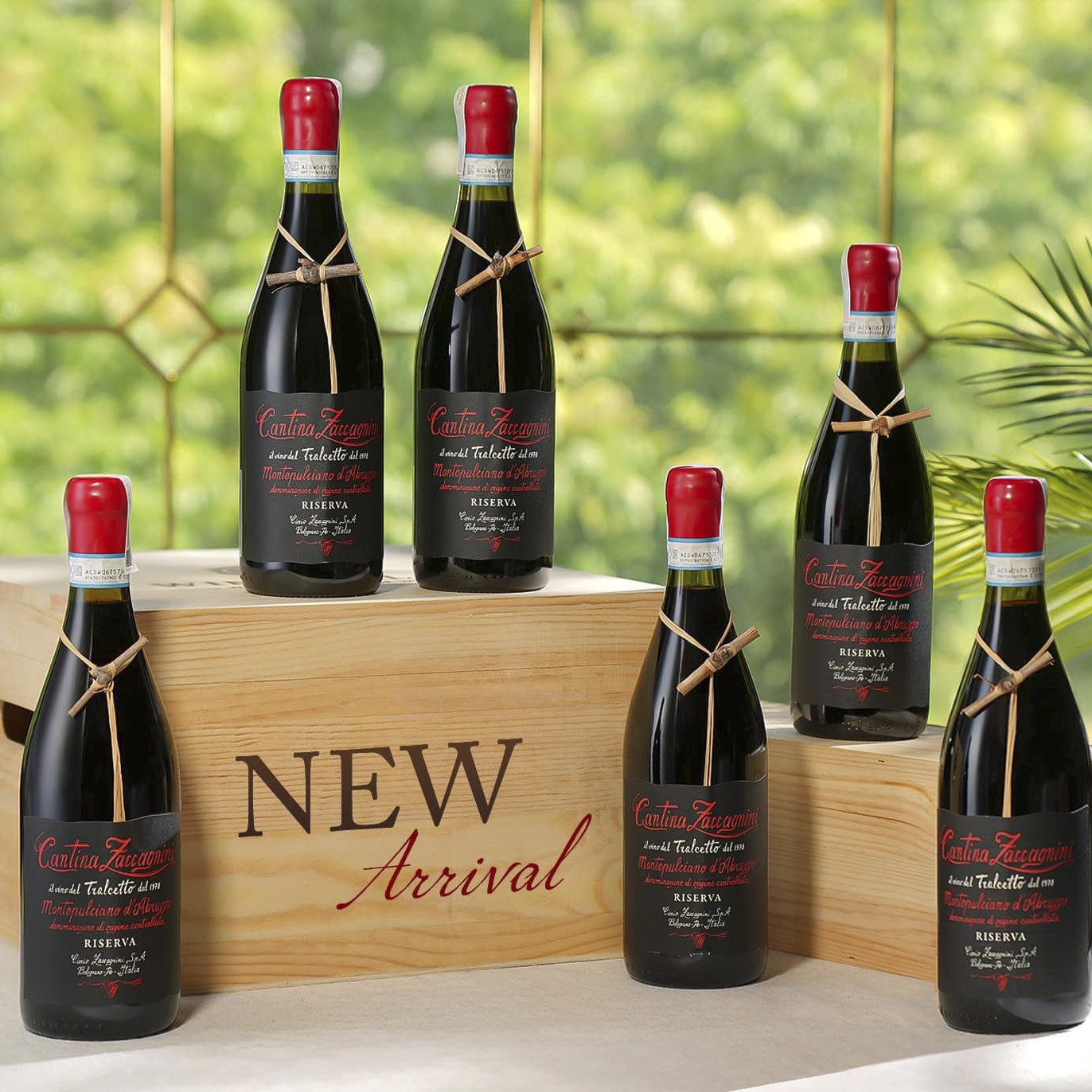 Vang Ý Cantina Zaccagnini Montepulciano d’Abruzzo Riserva