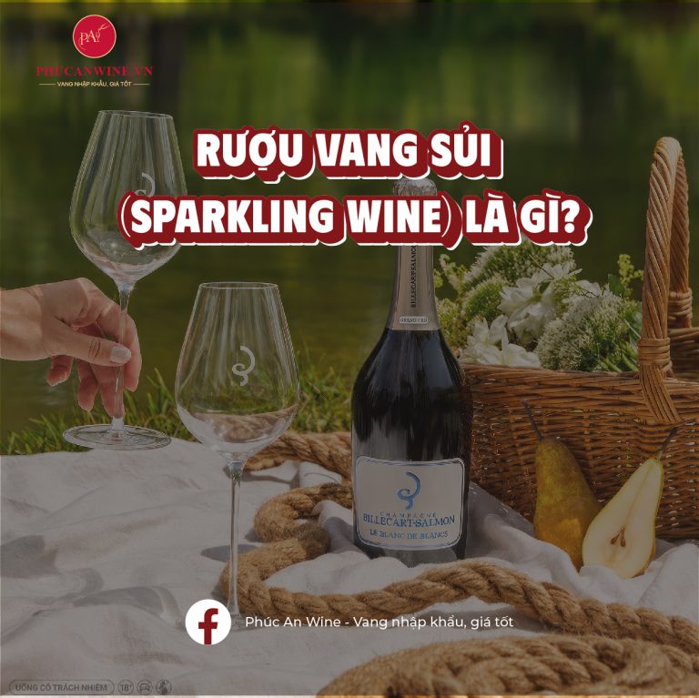 Rượu Vang Sủi (Sparkling Wine) Là Gì?